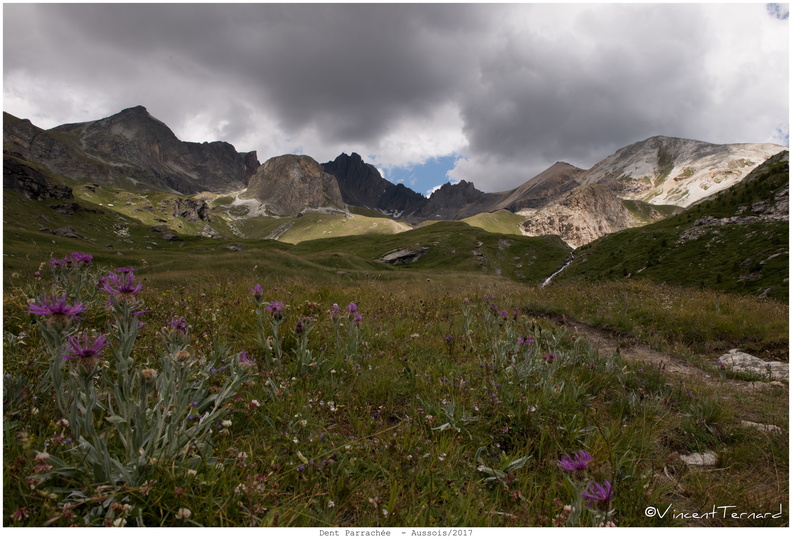 D810-2017-jul-086